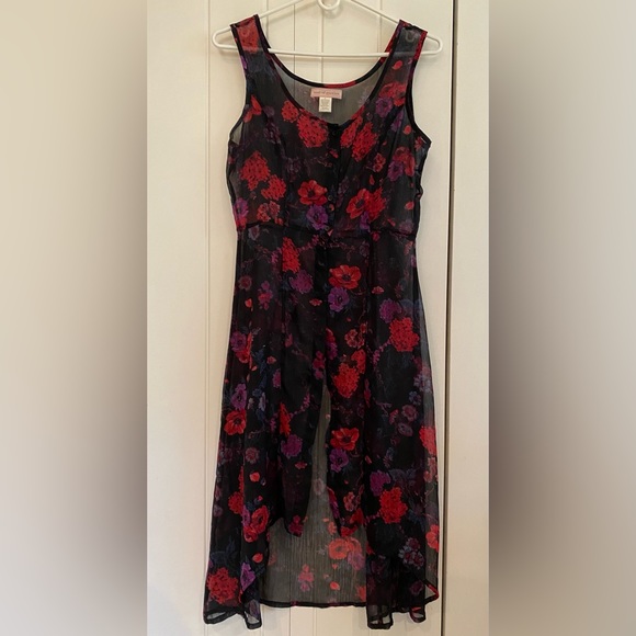 Band of Gypsies sheer over-dress - Picture 4 of 4